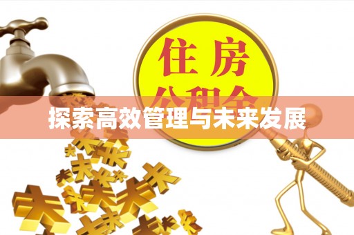 绥德探索高效管理与未来发展