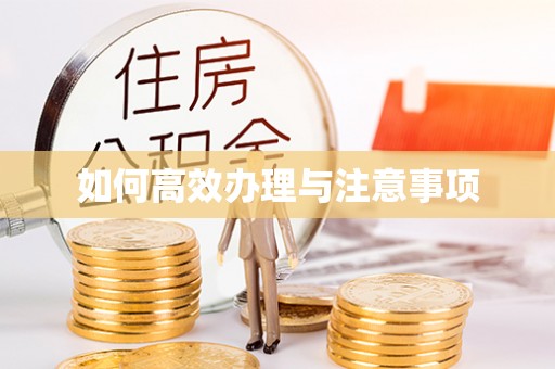 绥德如何高效办理与注意事项