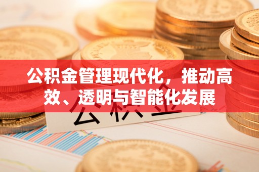 绥德公积金管理现代化，推动高效、透明与智能化发展