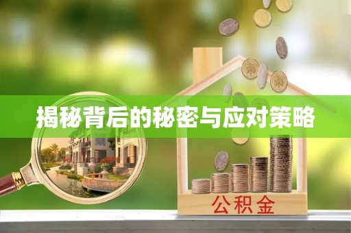 绥德揭秘背后的秘密与应对策略