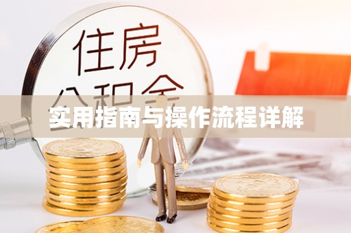 绥德实用指南与操作流程详解