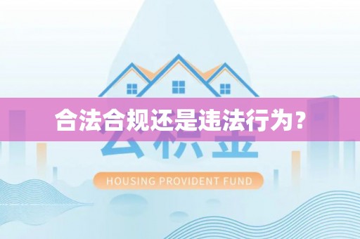 绥德合法合规还是违法行为？