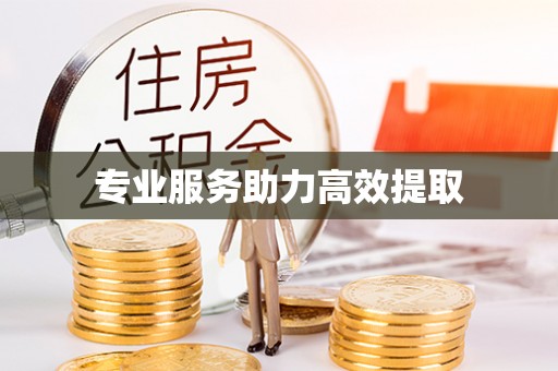 绥德专业服务助力高效提取