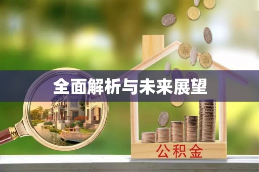 绥德全面解析与未来展望