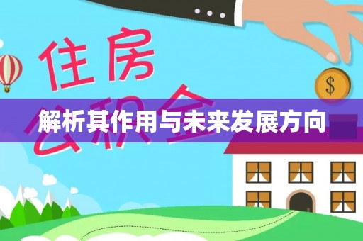 绥德解析其作用与未来发展方向