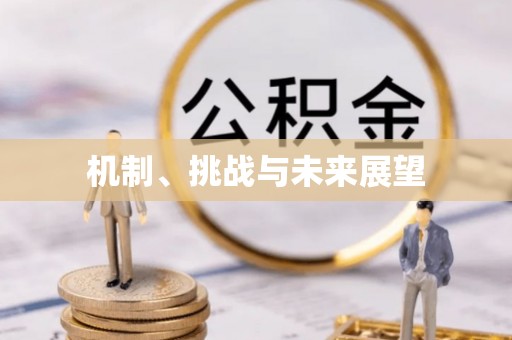 绥德机制、挑战与未来展望