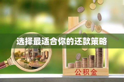 绥德选择最适合你的还款策略