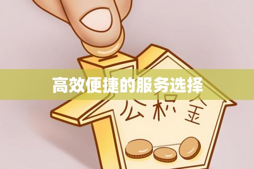 绥德高效便捷的服务选择