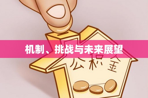 绥德机制、挑战与未来展望